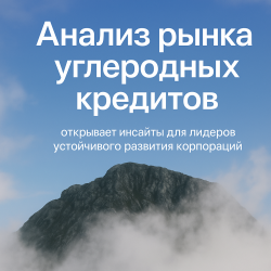 Добровольный рынок углеродных кредитов меняется