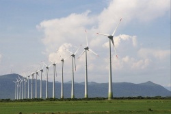 Влияние ветровой энергетики на биоразнообразие